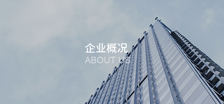 企業概況