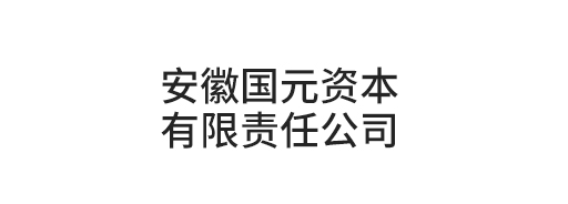 安徽國元資本有限責任公司